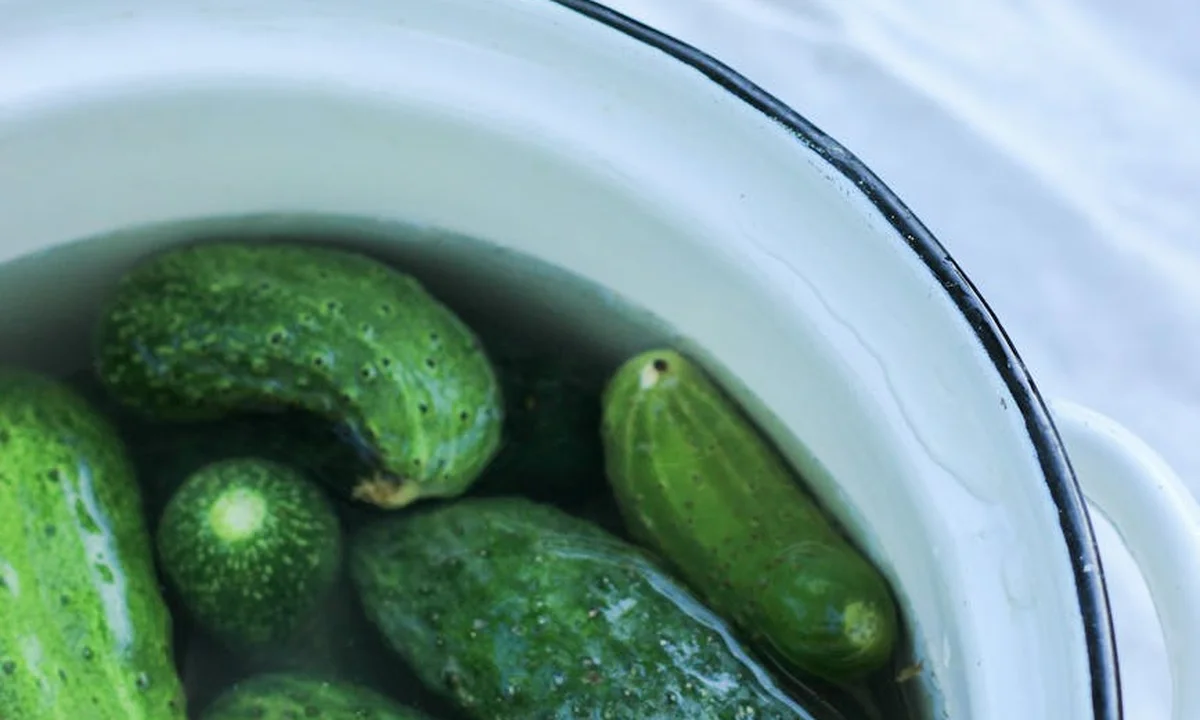 Green cucumbers soaking in water inside a white pot