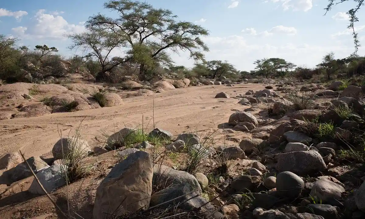 Desert rocky landscape with scattered shrubs and a clear sky.
