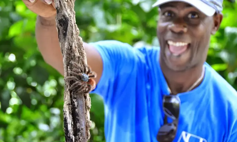 Smiling man in a blue shirt outdoors holding a branch to illustrate scale for a huntsman spider vs tarantula size comparison.