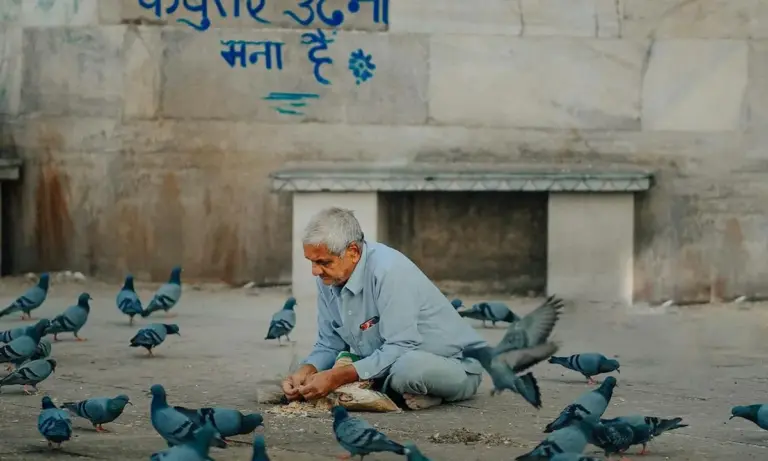 An elderly man sitting on the ground feeding pigeons in an outdoor courtyard.