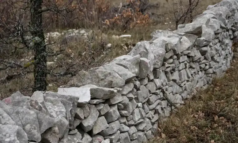 Long dry-stacked stone wall in a rural landscape