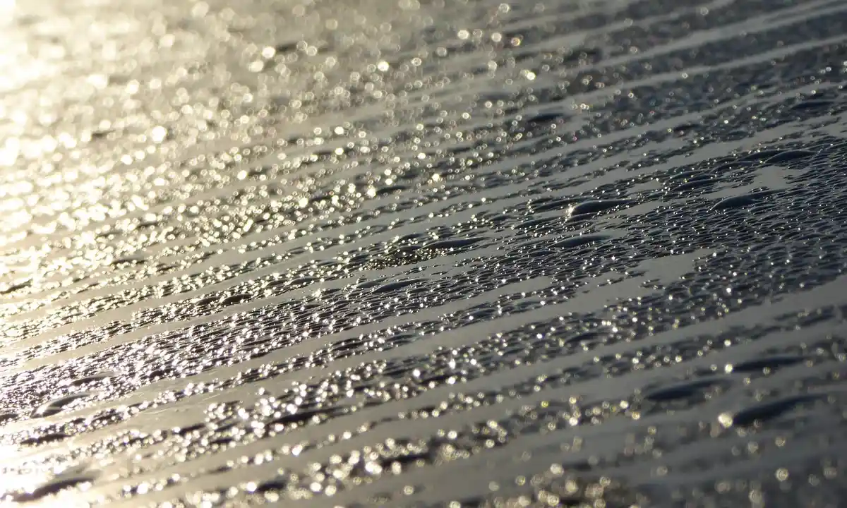 Close-up of a damp, glistening surface with water droplets in a tarantula enclosure, indicating excess moisture.