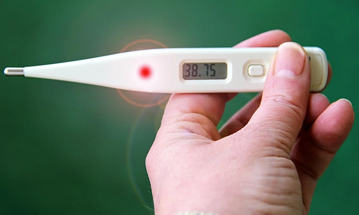 Hand holding a digital thermometer showing 38.75°C
