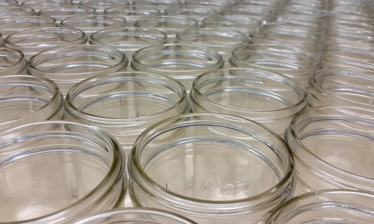 Close-up of rows of empty glass jars with lids, arranged for wet specimen preservation.