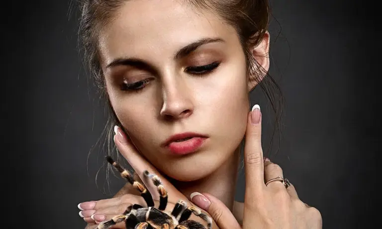 Close-up of a person with a tarantula resting on their finger against a dark background